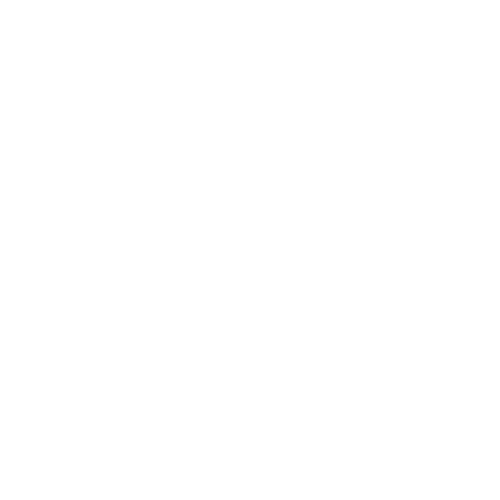 Mindset-icon